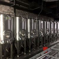 小型精酿啤酒生产设备 500升啤酒设备酿酒的机器